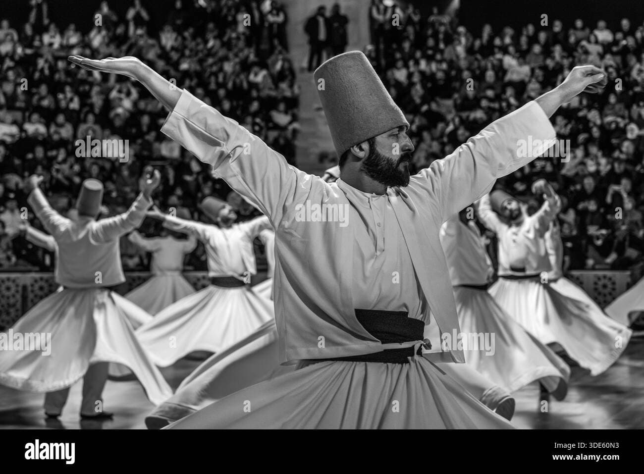 Mevlana Seb-i Arus