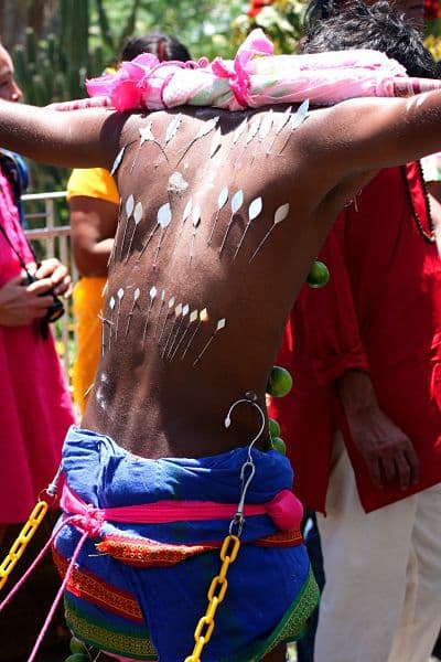 Thaipoosam Cavadee
